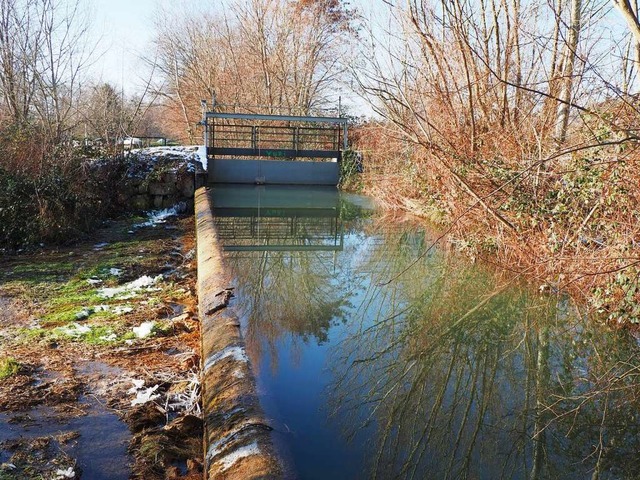 Ist die Stellfalle am Hodbach verstopf... Frage geht die Gemeinde derzeit nach.  | Foto: Herbert Frey