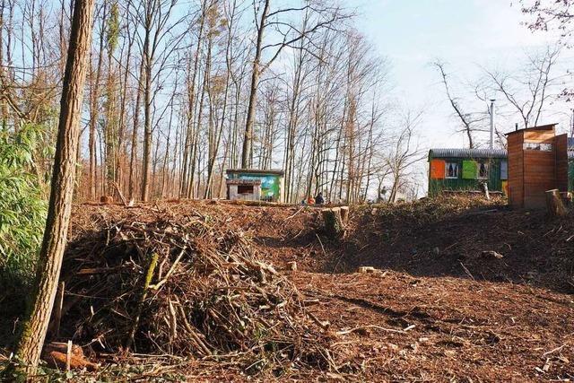 Warum der Wald am Weiler Waldkindergarten gerodet werden musste