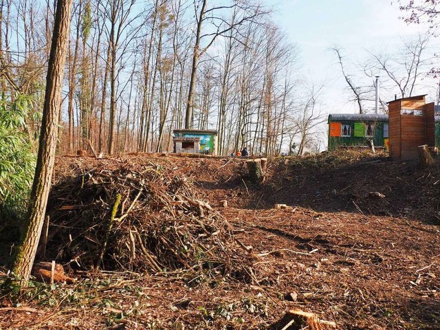 Baumfllaktion beim Waldkindergarten Mrchenwald  | Foto: Herbert Frey