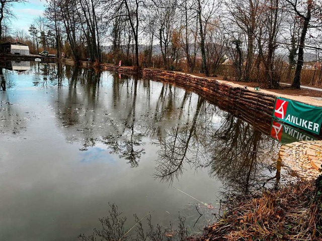 Das Ufer ist mit Robinienstmmen befestigt worden.  | Foto: Valentin Zumsteg