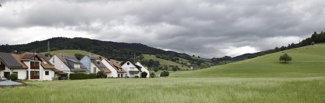 Das Neubaugebiet Nadelhof stand wieder auf der Tagesordnung.  | Foto: Hubert Gemmert