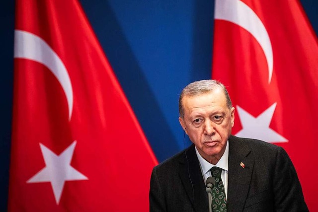 Wie gro ist der Einfluss des trkischen Prsidenten Erdogan in der Dava?  | Foto: Marton Monus