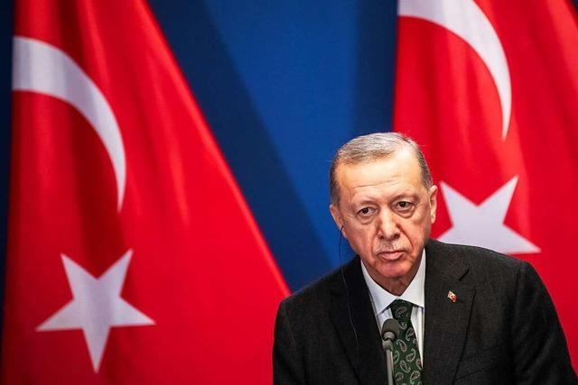 Wie viel Erdogan steckt in der Whlervereinigung Dava?