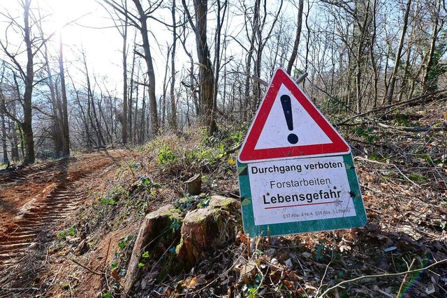 Einige Waldwege sind derzeit wegen Forstarbeiten gesperrt.  | Foto: Ingo Schneider