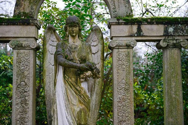 Ein steinerner Engel vor Immergrn  | Foto: Ingo Schneider