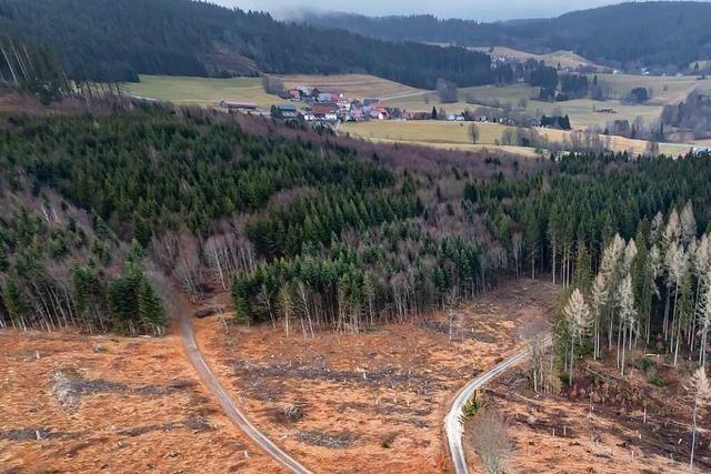 Grafenhausen erhlt den vierten Windkraft-Standort zurck