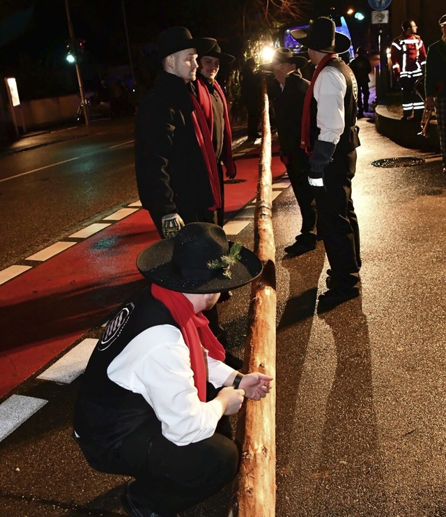 Der neu gegrndete Verein der Warmbach...nt professionell stellen sie den Baum.  | Foto: Heinz und Monika Vollmar