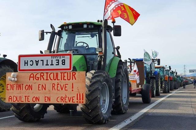 Franzsische Bauern geben Autobahn-Grenzbergang bei Neuenburg frei