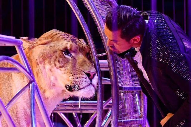 Mit dem neuen Tierschutzgesetz mssen Zirkusshows knftig ohne Wildtiere auskommen