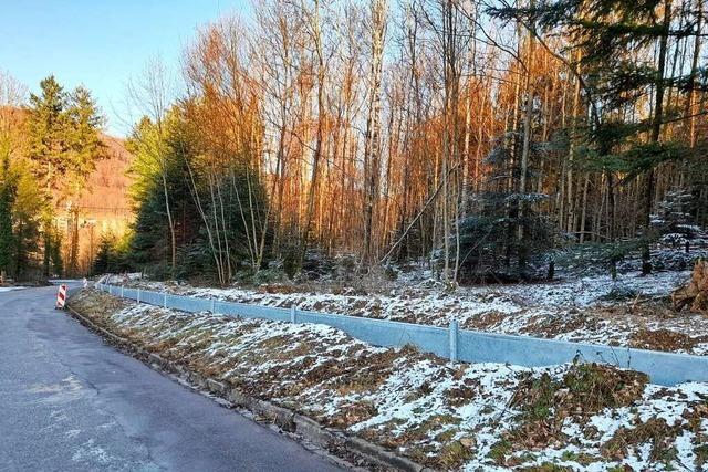 Sicherer Weg zum Hohbergsee fr wandernde Krten und Frsche