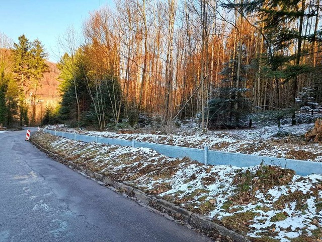 Der Krtenzaun an der Langenhardstrae in Lahr   | Foto: Stadt Lahr