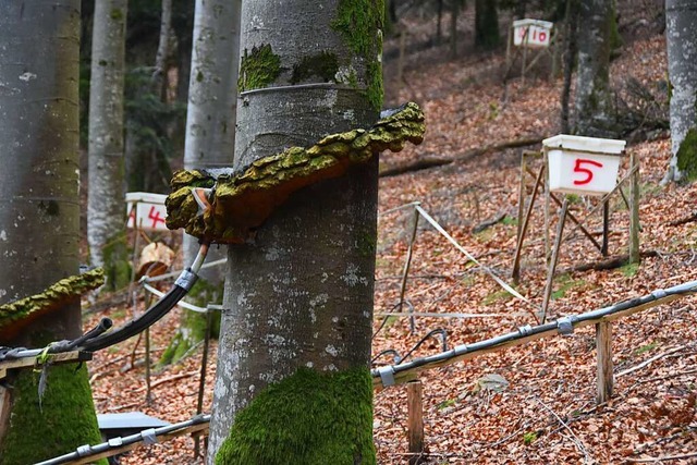 Messstationen befinden sich in der Nhe der geplanten Anlage.  | Foto: Sidney-Marie Schiefer