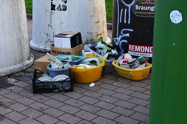 Immer wieder wird im Bereich der Samme...ll entsorgt, der hier nicht hingehrt.  | Foto: Victoria Langelott