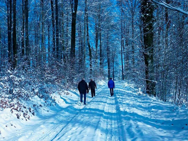 Das Wandern im winterlichen Wald  in der  Nhe des Sattelhofs tut gut.  | Foto: Heinz Scholz