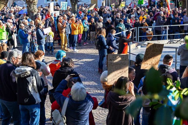 Rund 700 kamen am Samstag zur Kundgebu...222;Rheinfelden fr Demokratie&#8220;.  | Foto: Alexandra Gnzschel