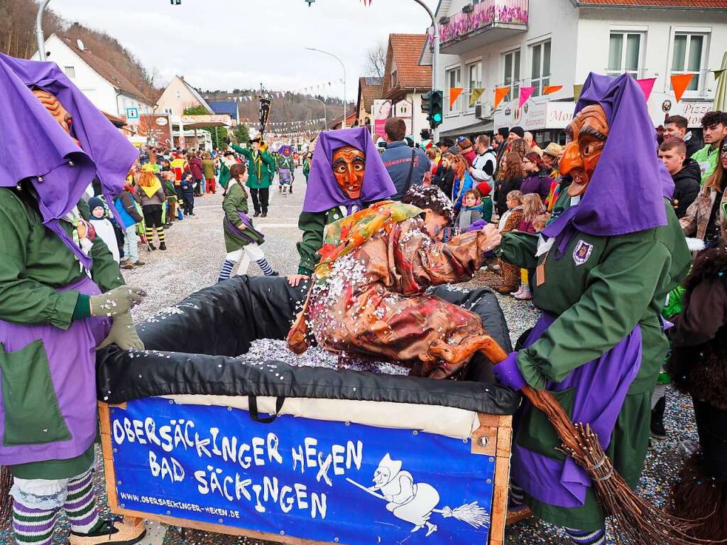 Impressionen vom Narrentreffen der Vereinigung Hochrheinischer Narrenznfte (VHN) in Schwrstadt.