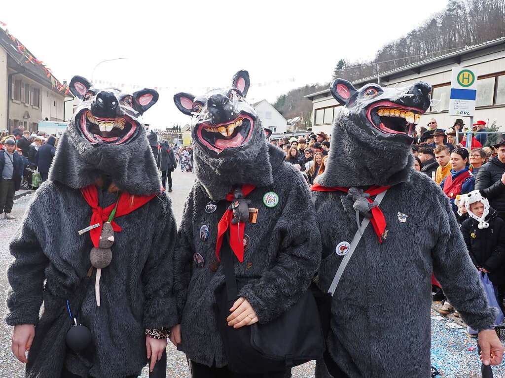 Impressionen vom Narrentreffen der Vereinigung Hochrheinischer Narrenznfte (VHN) in Schwrstadt.