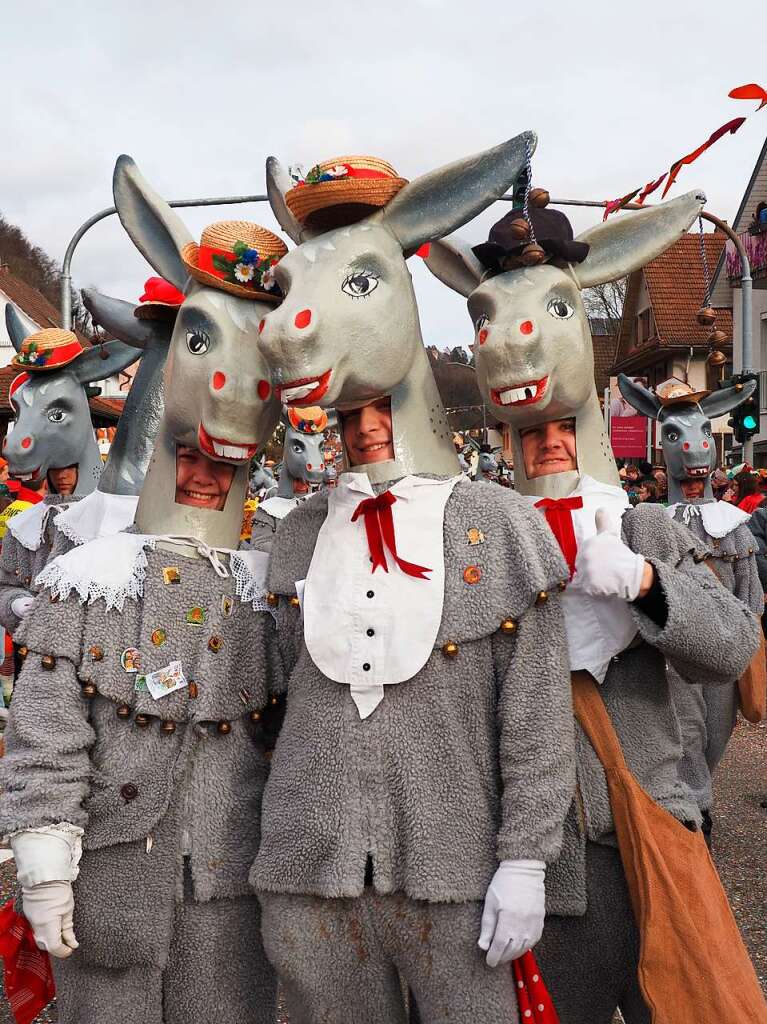 Impressionen vom Narrentreffen der Vereinigung Hochrheinischer Narrenznfte (VHN) in Schwrstadt.