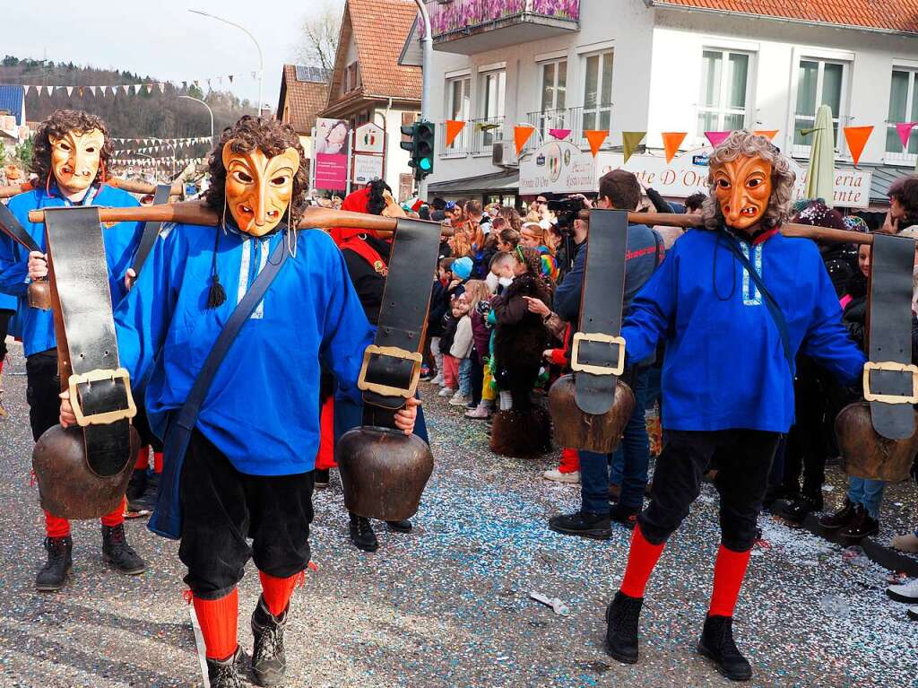 Impressionen vom Narrentreffen der Vereinigung Hochrheinischer Narrenznfte (VHN) in Schwrstadt.