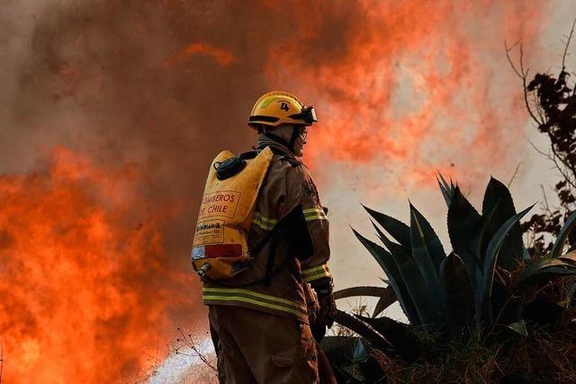 Mehr als 60 Tote bei Waldbrnden in Chile