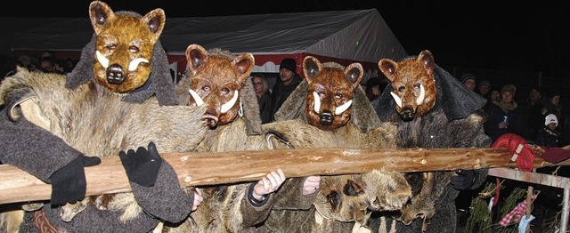 D&#8217;Ripplinger Wildsu stellen den Narrenbaum.   | Foto: Hans-Walter Mark