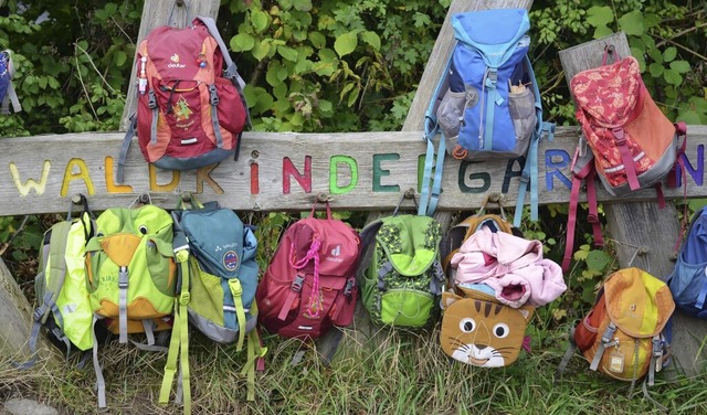 Pfaffenweiler bekommt einen Waldkindergarten.  | Foto: Kathrin Blum