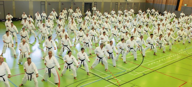 Josef Faller grndete das Karate Dojo ...ein ehrenamtliches  Engagement geehrt.  | Foto: Karate Dojo Breisach