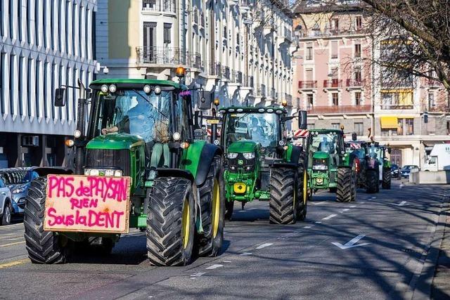 Auch in der Schweiz protestieren die Bauern – obwohl der Staat sie stark stützt