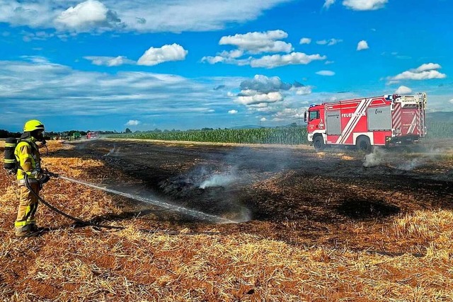 Gleich mehrere Felder brannten im Juli...innerhalb weniger Stunden bei Zienken.  | Foto: Feuerwehr Neuenburg