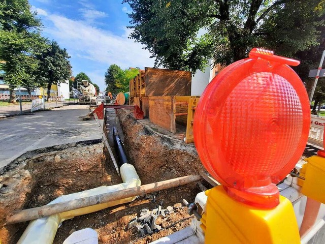 Den Ausbau der Nahwrme (hier an der W... neue Standorte fr Bume festzulegen.  | Foto: Erika Bader