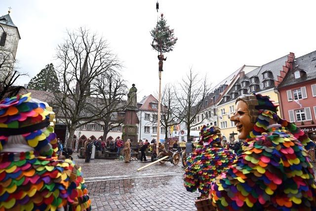 Der Narrenbaum auf dem Freiburger Rathausplatz steht