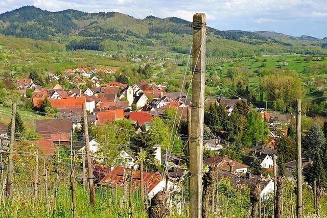 Stadt Mllheim schafft Grundlage fr kleines Baugebiet in Feldberg