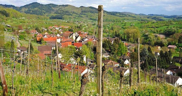 Blick aus den Reben auf Feldberg  | Foto: Volker Mnch