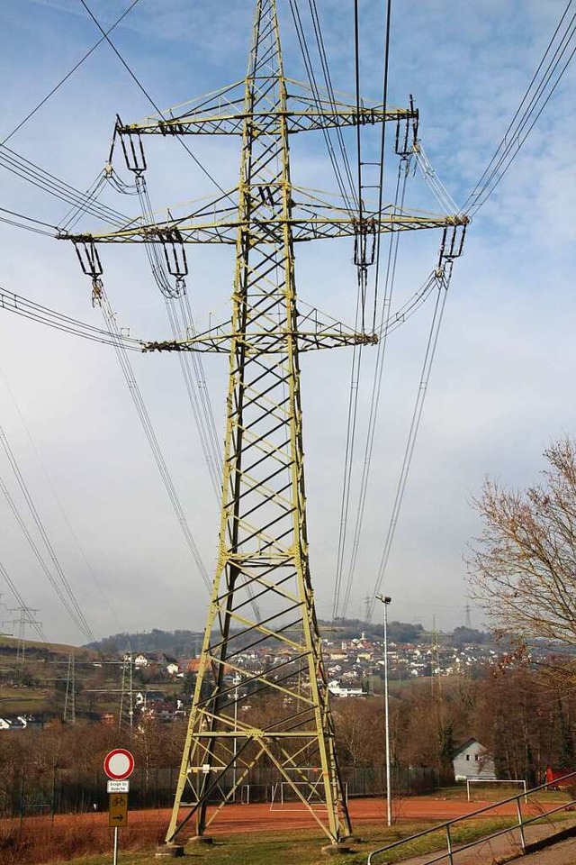 Die Leitungsmasten dominieren das Ortsbild von Gurtweil.  | Foto: Baier,Markus