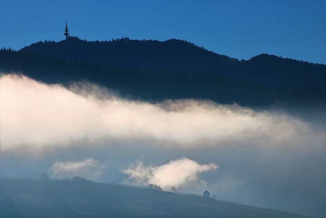 Drehen sich in ein paar Jahren Windrd...gerentscheids spielt dabei eine Rolle.  | Foto: Harald Hfler