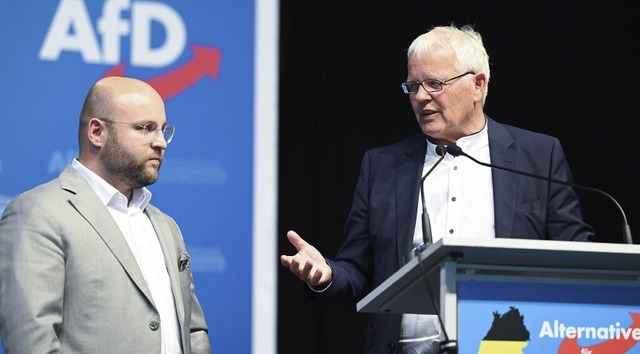 Die AfD-Landesvorsitzenden Markus Frohnmaier (links) und Emil Snze  | Foto: Bernd Weibrod (dpa)