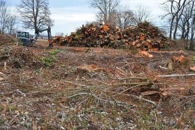 Wilde Rodung an der B3-Ortseinfahrt in Emmendingen