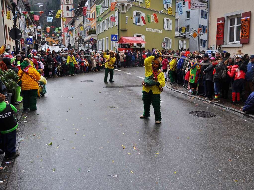 Impressionen vom Zeller Fasnachtsumzug am Sonntag mit den herrlichen Motivwagen und Fugruppen.