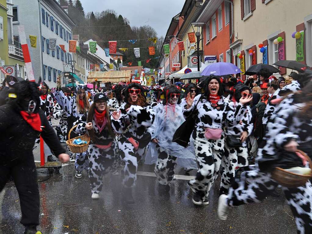 Impressionen vom Zeller Fasnachtsumzug am Sonntag mit den herrlichen Motivwagen und Fugruppen.