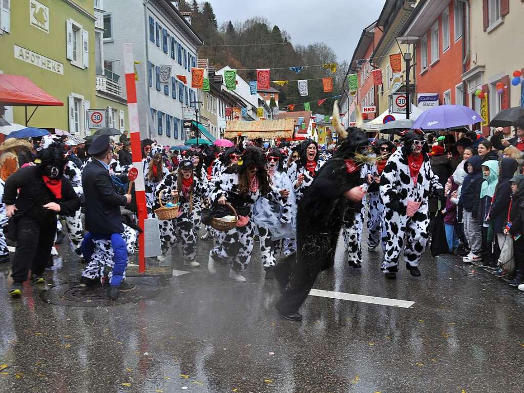 Impressionen vom Zeller Fasnachtsumzug am Sonntag mit den herrlichen Motivwagen und Fugruppen.