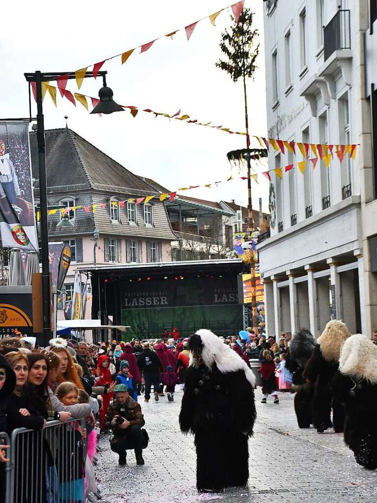 Ein buntes Kaleidoskop der alemannischen Fasnacht in Lrrach