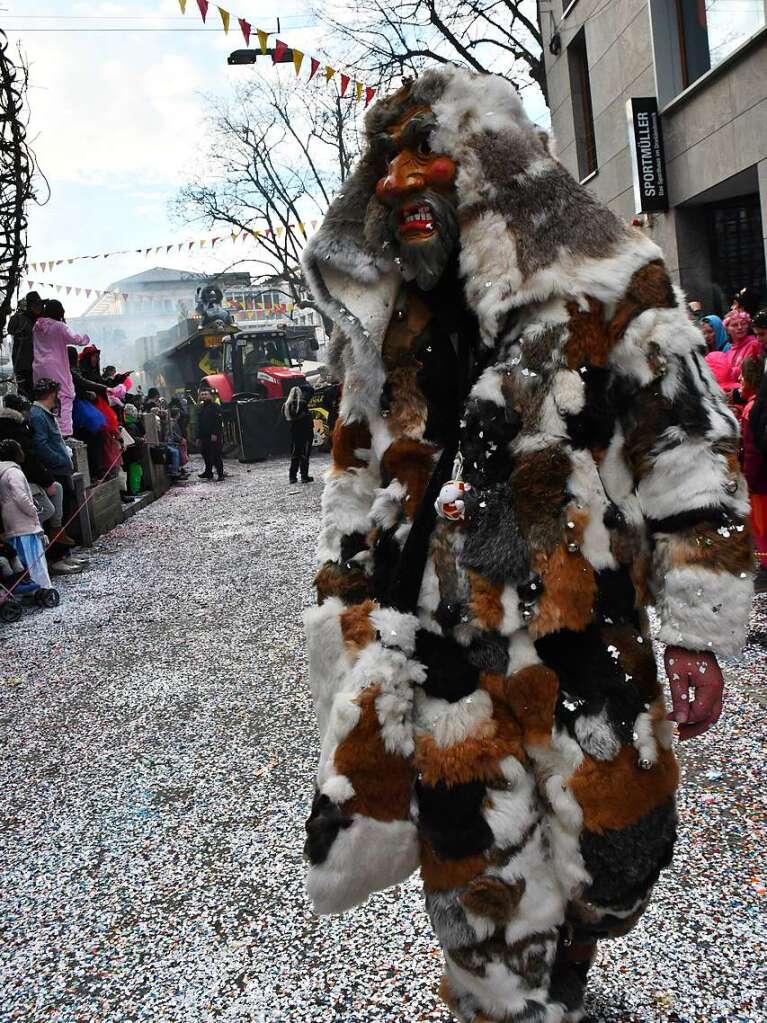 Ein buntes Kaleidoskop der alemannischen Fasnacht in Lrrach