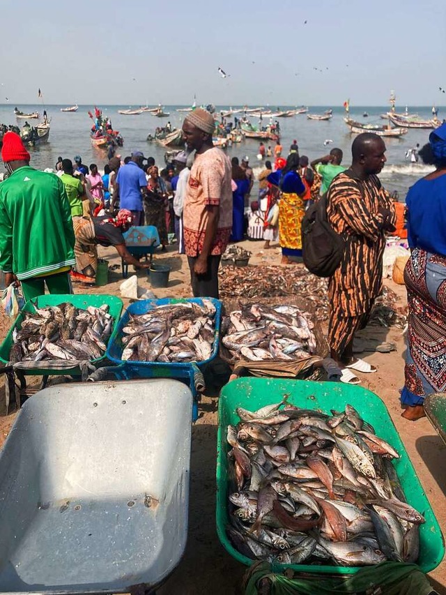 Zurckgehende Fangertrge in Gambia si...rendes Zeichen fr wachsende Probleme.  | Foto: Luisa Elleser