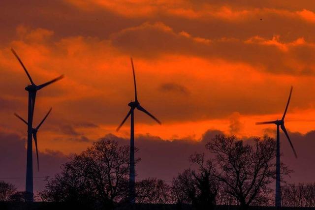 Warum luft der Windkraftausbau in Baden-Wrttembergs Staatsforst so langsam?