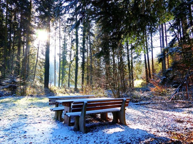 Winter im Regelsbach bei Schuttertal.  | Foto: Schuttertal