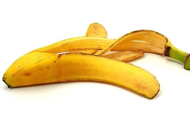 Berner Regierungsrat rechnet Banane als Spesen ab – das sorgt für Ärger