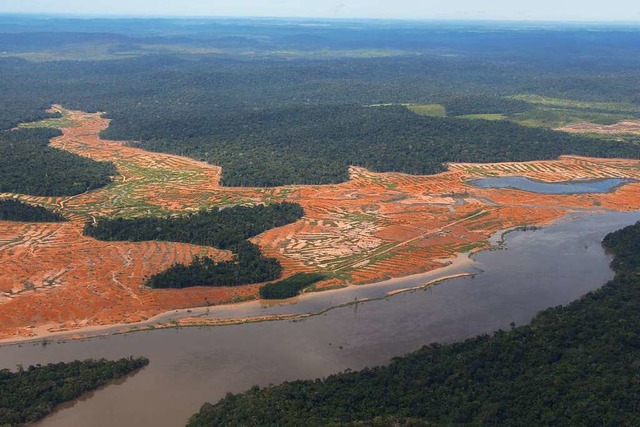 Wenn der Regenwald im Amazonas weiter ...ne Savannenlandschaft abgelst werden.  | Foto: Isaac Risco-Rodriguez