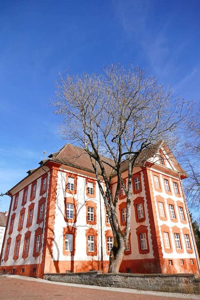 Das Schloss ist das Aushngeschild Bonndorfs.  | Foto: Stefan Limberger-Andris