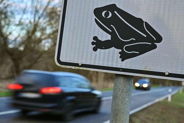 Naturschutzbehrde richtet Appell an Autofahrer fr Krte und Molch