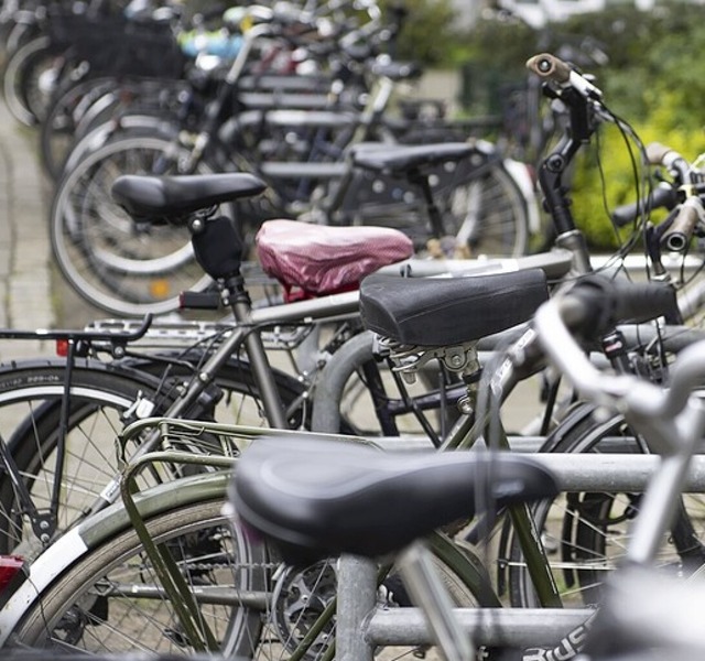 Um den Radverkehr  voranzubringen,  is...rsbeauftragte wichtig, so die IG Velo.  | Foto: Sina Schuldt (dpa)